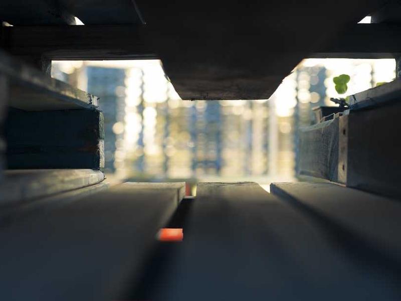 免费梯子试用加速器多设备高速连接示意图